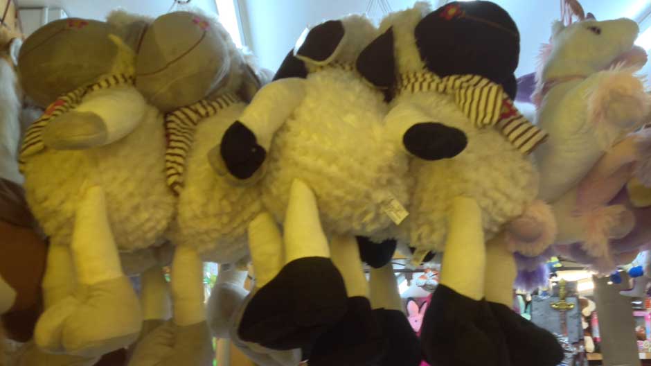 THE FIELDS OF AFRICA